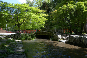 上賀茂神社　ならの小川　京都市北区