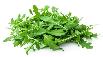 Arugula isolated white background