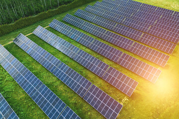 Rows of solar panels bask in sunlight, harnessing clean energy in a vast field