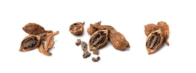 Black Cardamom Seeds Isolated, Brown Cardamon, Dry Kardamon Fruits, Cardamum Spice, Cardamomum