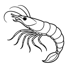 Shrimp lineart vector illustration design2