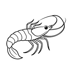 Shrimp lineart vector illustration design2