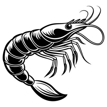 recommend clip art: Shrimp silhouette vector illustration design2