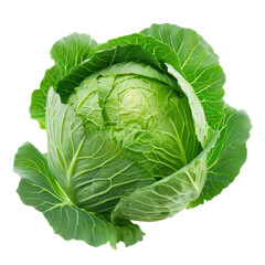 Fototapeta premium fresh Cabbage isolated white background