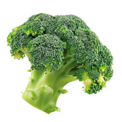 Fresh green of broccoli isolated white background