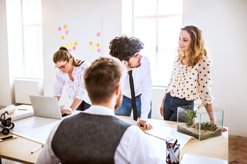 Young group of colleagues working on a new project together in a startup company office. Working in...