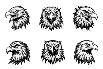 Eagle silhouette vector illustration white background