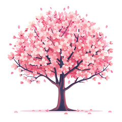 Cherry blossom illustrations illustration isolated on white background