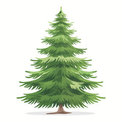 Obraz premium Pine tree illustration isolated on white background