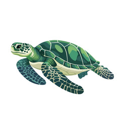Fototapeta premium Turtle illustration isolated on white background