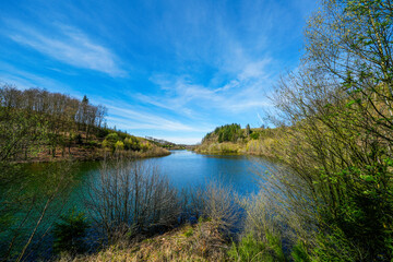 Nature at the Hasper Dam near Hagen in the Ruhr area.

