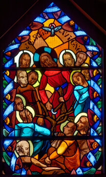 Parables of Jesus: I Am the True Vine. Paraboles de J&eacute;sus : Je suis la vraie vigne. Annecy - France