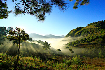 Obraz premium Nature and scenic views of the Doi Luang Chiang Dao Mountain in Chiang Dao Wildlife Reserve Chiang Mai Province, Thailand 