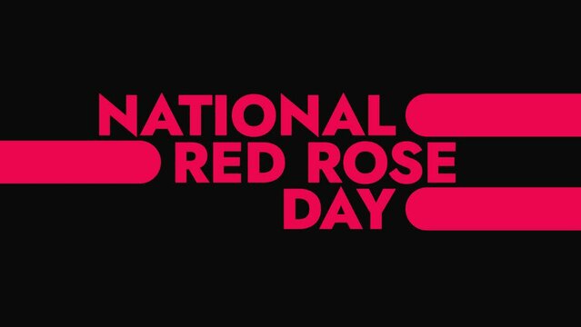 National Red Rose Day colorful motion graphics seamless loopable text animation on black or white background great for celebrating national red rose day in june
