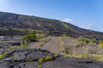 Alanui Kahiko, An exposed portion of Chain of Craters Road that was not covered by the lava flows of Maunaulu, Hawaii Volcanoes National Park. Kīlauea volcano, Hōlei Pali / Hilina Pali ( cliff )