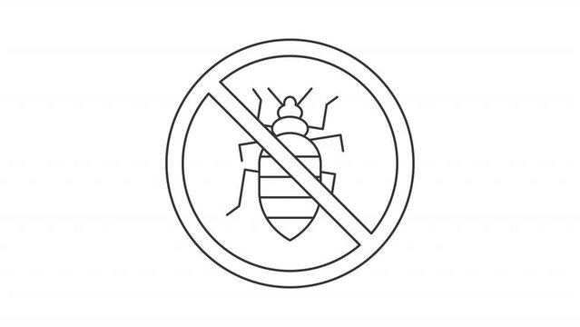 Animated house parasite icon. Bed bug line animation. Scaling block sign. Roach insects, entomology. Black illustration on white background. HD video with alpha channel. Motion graphic