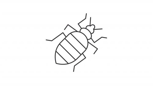 Animated cockroach icon. House parasite line animation. Moving insect. Termites control services. Black illustration on white background. HD video with alpha channel. Motion graphic