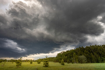 A dramatic sky filled with dark, swirling clouds looms over a tranquil meadow, showcasing a...