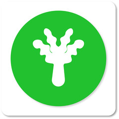 Vegetable Shilouette Icon