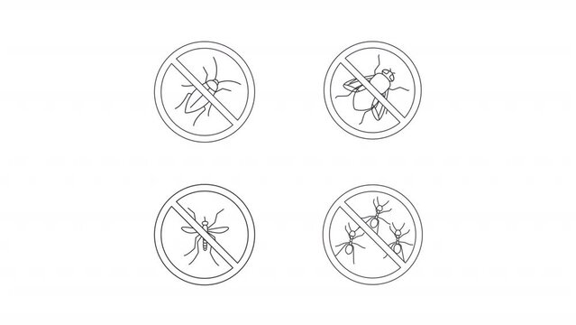 Animated insects prohibition icons. Termite control line animation library. Block sign scaling. Black illustrations on white background. HD video with alpha channel. Motion graphic