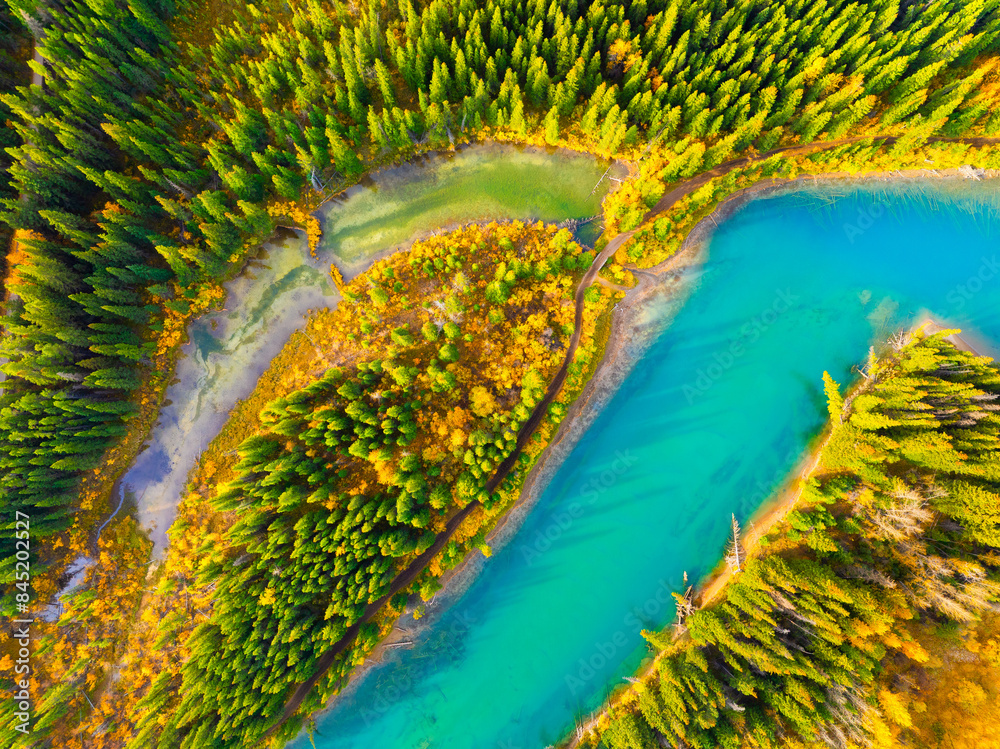 Wall mural drone view of the river in the forest. an aerial view of an woods. winding river among the trees. tu