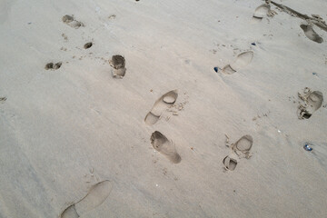 footprints in the sand on the beach