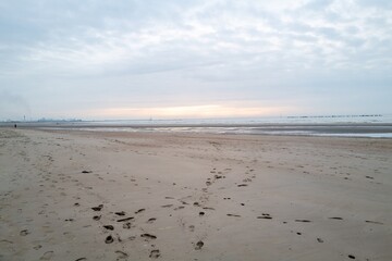 french north sea coast in the evening light