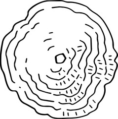 hand drawn top view of tree illustration.