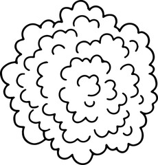 hand drawn top view of tree illustration.