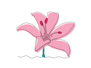 abstract lily flower,continuous single line art drawing sketch, logo