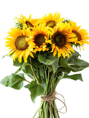 Obraz premium Bouquet of beautiful sunflowers, isolated, white background