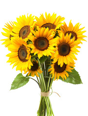 Obraz premium Bouquet of beautiful sunflowers, isolated, white background