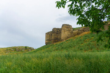 Walls and towers of Gagi fortress. Green grass, bushes and trees on the foreground