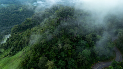 Beautiful mountain curve asphalt road, Trees green foliage in fog, Morning mist mountain in rural...