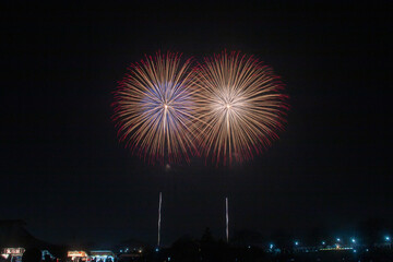日本の芸術花火