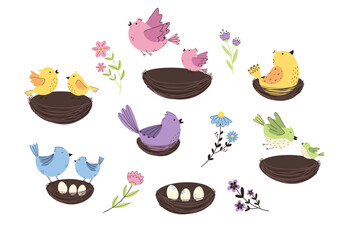 Colorful birds with flowers and leaves set. Summer, spring illustration with cute birds in nests.