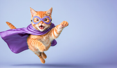 superhero cat, Cute orange tabby kitty with purple cloak and mask jumping and flying on blue background with copy space. super cat, leader, funny animal