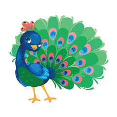 Adobe Illustrator Artwork of a peacock illustration carton