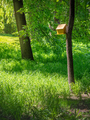 A wooden birdhouse is mounted on a tree in a lush green park, bathed in sunlight. Surrounded by abundant greenery, the scene conveys a sense of tranquility and connection with nature.