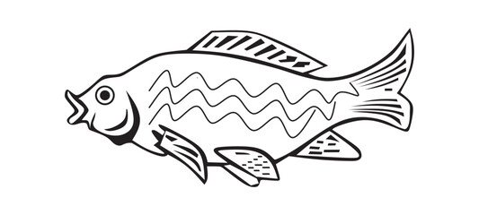 Fish Icon,One fresh sea bass fish isolated on white background.
