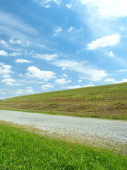 初夏の江戸川河川敷の砂利道と除草された土手風景