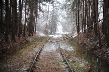 Railway and railroad iron tracks in the winter forest with snow and trees during winter. Beautiful natural landscape.