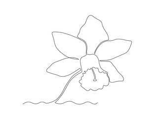 abstract narcissus flower, daffodil ,continuous single line art drawing sketch, logo