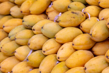 Fresh yellow mango as background