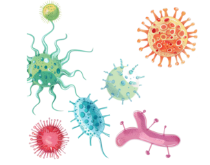 Set of microbes and viruses Isolated on Transparent Background