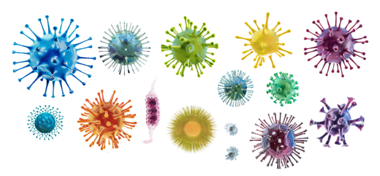 Set of microbes and viruses Isolated on Transparent Background