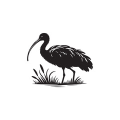 Fototapeta premium Ibis Bird Silhouette: Vector Art Celebrating the Grace and Beauty of this Elegant Bird- Ibis Bird Vector - Ibis Bird Illustration.