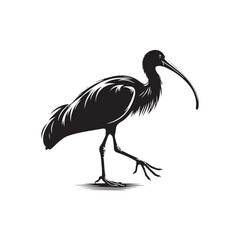 Ibis  Bird Silhouette: Vector Art Celebrating the Grace and Beauty of this Elegant Bird- Ibis Bird Vector - Ibis Bird Illustration.