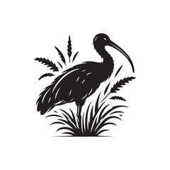 Ibis  Bird Silhouette: Vector Art Celebrating the Grace and Beauty of this Elegant Bird- Ibis Bird Vector - Ibis Bird Illustration.
