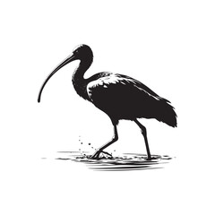 Obraz premium Ibis Bird Silhouette: Vector Art Celebrating the Grace and Beauty of this Elegant Bird- Ibis Bird Vector - Ibis Bird Illustration.